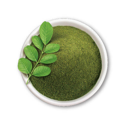 organic-moringa-powder